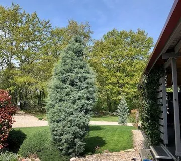 Kuća Prodaja montažne/modularne prizemnice, Tinjan!