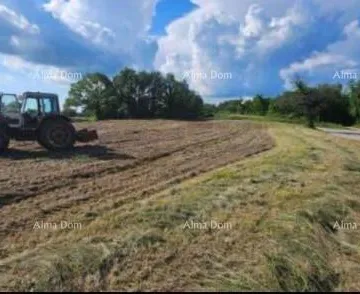 Građevinsko zemljište Prodaju se tri građevinske parcele i jedna poljoprivredna parcela.