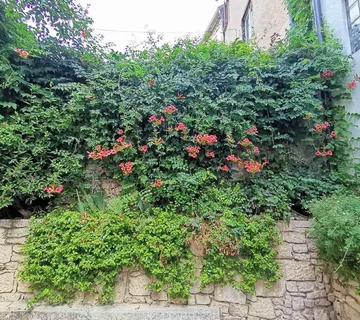 Kuća Prodaja kuće na tri etaže, Medulin!