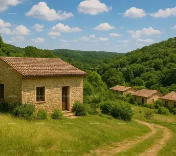 Kuća Prodaja- veliko imanje/stancija u središnjoj Istri, Pazin! Investicijska prilika!