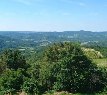 Građevinsko zemljište Građevinsko zemljište 761 m² za vilu s bazenom – Grimalda - Cerovlje