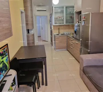 Stan Prodaje se lijepo renoviran stan, Novigrad