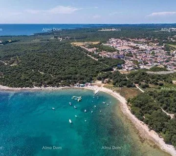 Kuća Kuća s tri zasebna stana i maslinikom, svega 500 m od mora - Vodnjan
