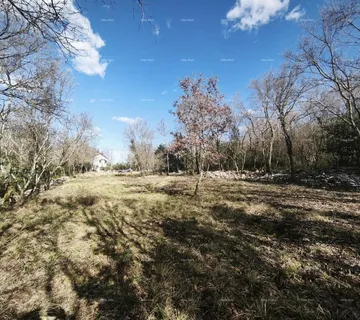 Građevinsko zemljište Buje – građevinsko zemljište 1.086 m² s pogledom na more - cover