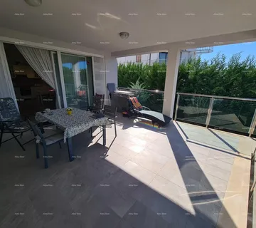 Stan Peroj! Stan s dvorištem! - cover