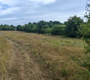 Građevinsko zemljište Građevinsko zemljište površine 1.600 m² u blizini Svetvinčenata