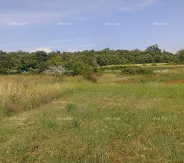 Građevinsko zemljište Građevinsko zemljište 2.539 m² – Smoljanci, Svetvinčenat