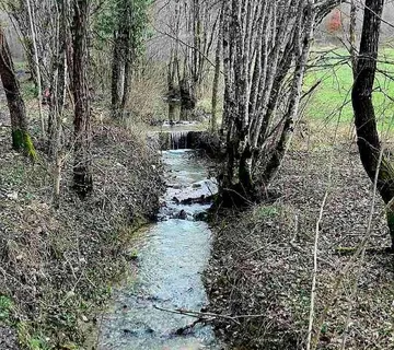 Kuća Prodaja- veliko imanje/stancija u središnjoj Istri, Pazin! Investicijska prilika! - cover