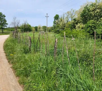 Građevinsko zemljište POREČ - Prodaje se građevinsko zemljište, 12000m2 - cover