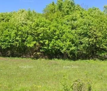 Građevinsko zemljište TINAJN - Građevinsko zemljište 4.168 m² - cover