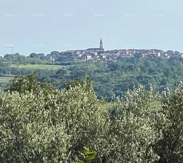 Građevinsko zemljište Građevinsko zemljište s pogledom na more, vinograde i Alpe (551 m²), Buje - cover