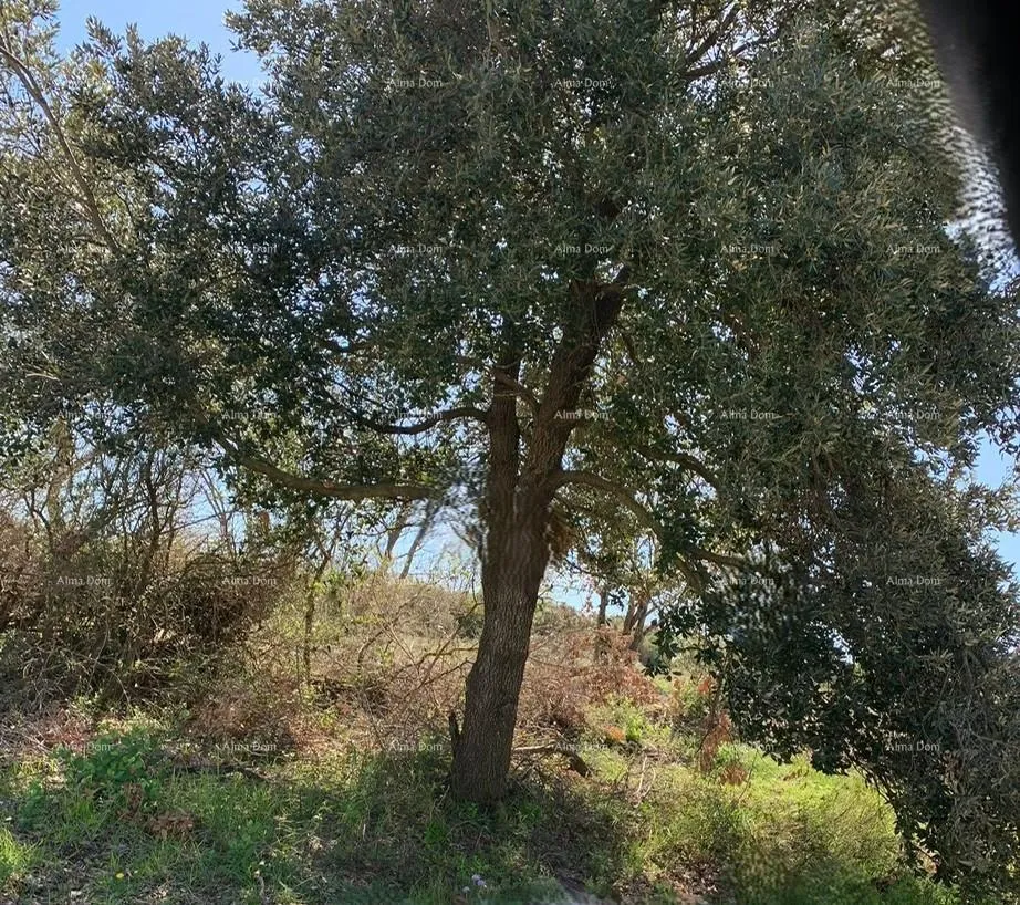 Građevinsko zemljište Prodaja 4 građevinske parcele, Medulin! Mukalba! - cover