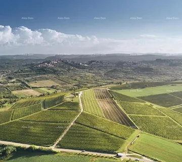 Građevinsko zemljište Građevinsko zemljište 500 m² s pogledom na more – okolica Brtonigle - Brtonigla