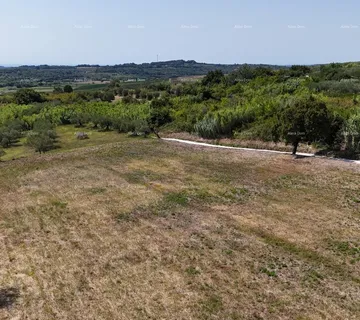 Građevinsko zemljište Prodaja građevinskih parcela sa pogledom na more, za izgradnju stambenih objekata, Buje! - cover