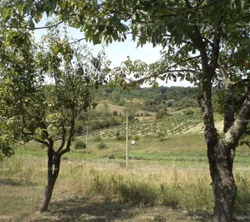 Građevinsko zemljište Prodaje se građevinsko veliko zemljište blizina grada Poreča. - cover