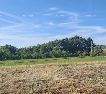Građevinsko zemljište GRAĐEVINSKO ZEMLJIŠTE 2.920 m² U BLIZINI VIŠNJANA