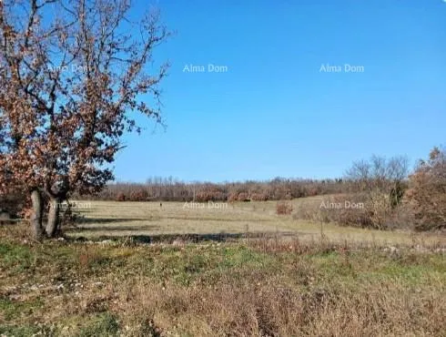 Građevinsko zemljište Prodaja građevinskog zemljišta, Marčana - cover