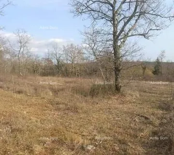 Građevinsko zemljište Prodaja građevinskog zemljišta u blizini Grožnjana.