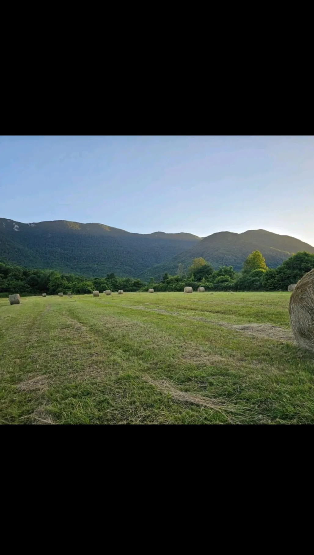 Fotografija