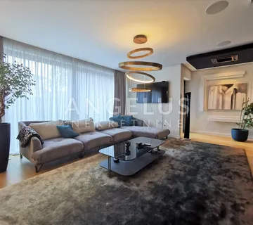 Zagreb, Mlinovi - luksuzna vila 500m2 s vrtom i garažom