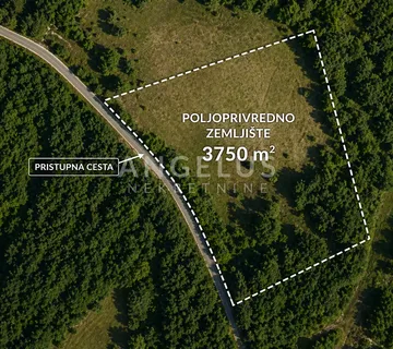 Istra, Baderna - poljoprivredno zemljište 3750m2 - cover