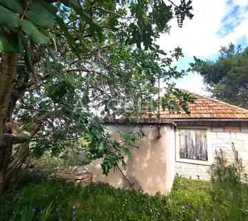 Šolta, Nečujam- građ.zemljište u centru mjesta, 8000m2, PRODAJA - cover