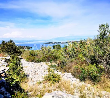 Šolta, Nečujam - maslinik sa 240 stabala, 8200 m2, PRODAJA - cover