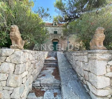 Tisno - stara villa na parceli od 10.000m2 s vinogradom i maslinikom