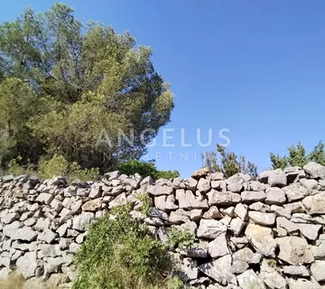 Šolta, Gornje Selo - polj.zemljište sa pogledom na more, 6700 m2, PRODAJA - cover