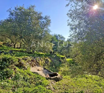 Šipan, Luka Šipanska – atraktivan maslinik s omirinom, 3900 m2 - Šipanska Luka, Dubrovnik