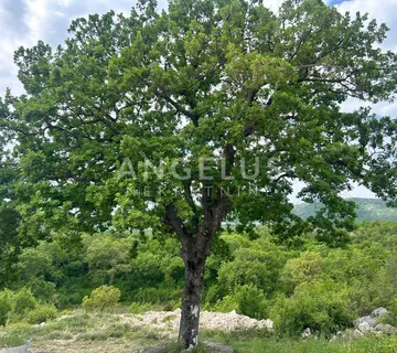Trolokve - poljoprivredno zem sa kamenom kućom, 26.000 m2, PRODAJA - Trolokve, Prgomet