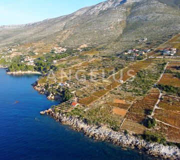 Pelješac, Postup - poljoprivredno zemljište na vrhunskoj poziciji - 7295 m2 - cover