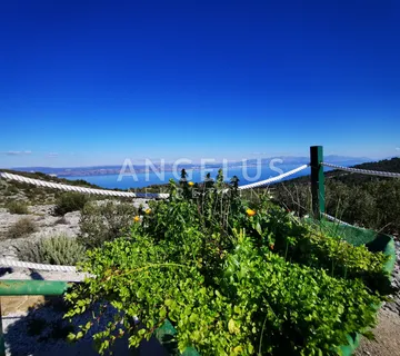 Šolta - uređeni maslinik sa pogledom na more, 4800 m2 - cover