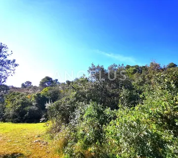 Šolta, Nečujam - poljoprivredno zemljište sa pogledom, 13000 m2, PRODAJA - cover