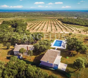 Istra, Rovinj - 2 kuće s bazenom, zemljištem i šumom