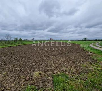 Velika Kosnica - Petina  polj. zemljište 5085 m2 - cover