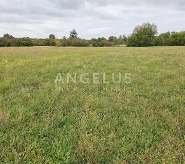 Istra, Kanfanar - zemljišta, komercijalna svrha - cover