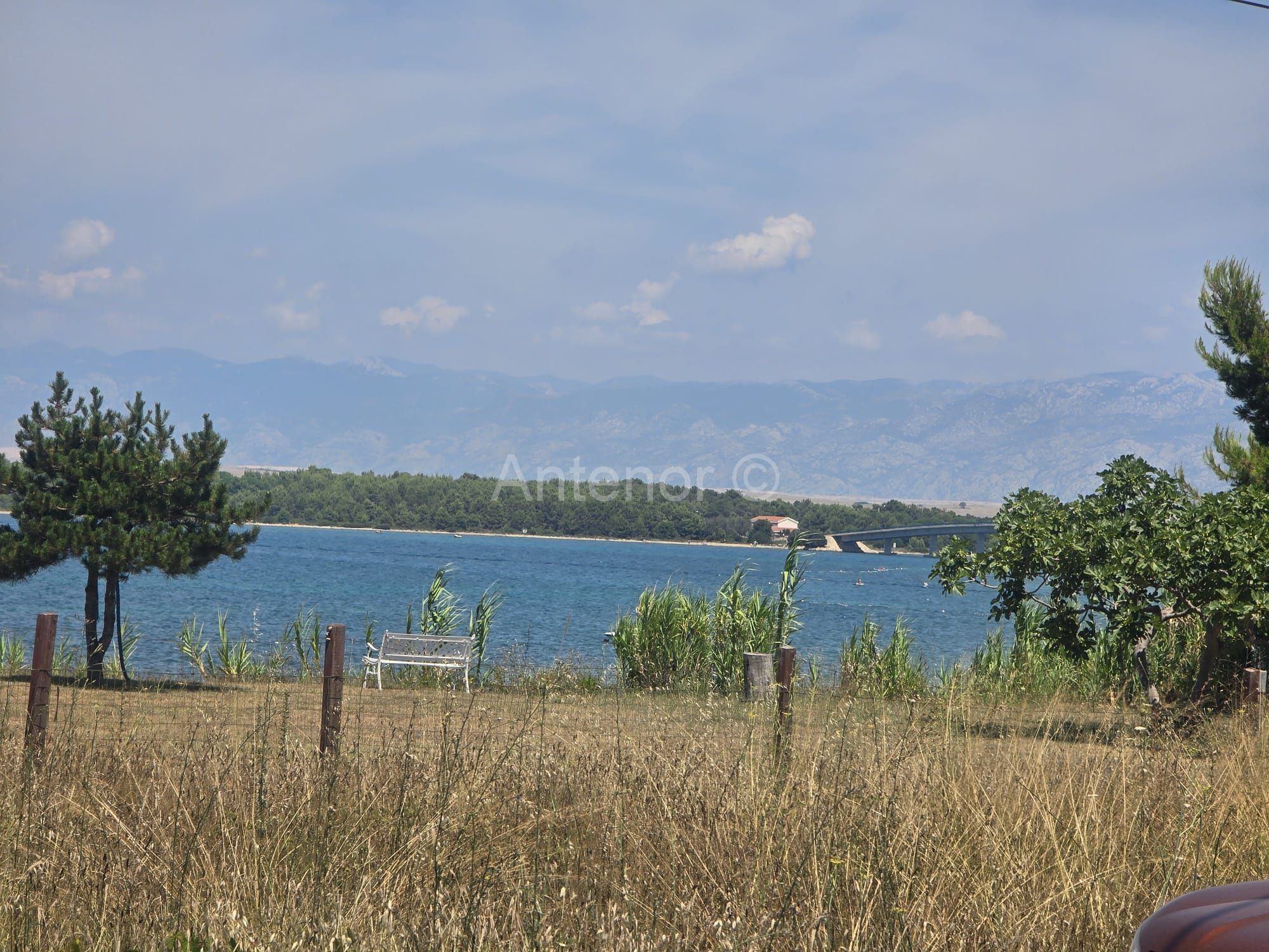 Fotografija