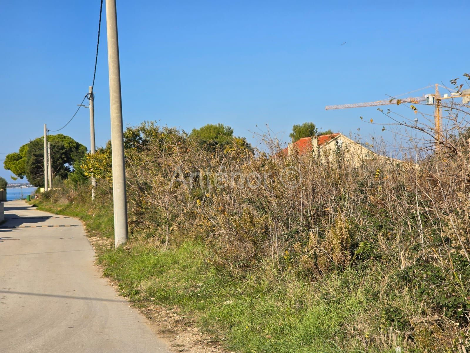 Fotografija