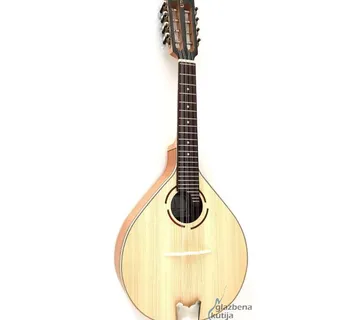 APC MDL308 MANDOLINA - cover