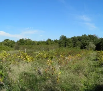 Velika Poljoprivredna Cjelina - Labin, Labin