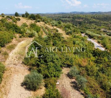 Istra, Buje - prostrano građevinsko zemljište na atraktivnoj lokaciji - cover