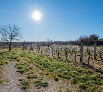 Građevinsko zemljište 200m od centra Marčane, Istra - cover