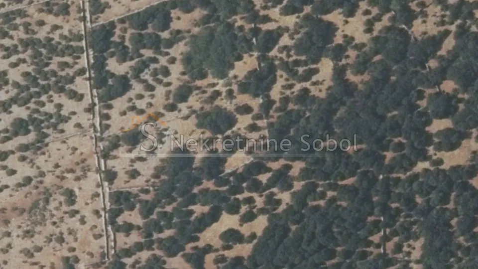 Belej, Otok Cres - Šuma, 15437 m2 Prodaja - cover