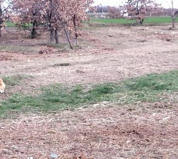 Kaštelir, građevinsko zemljište 1276 m² - cover
