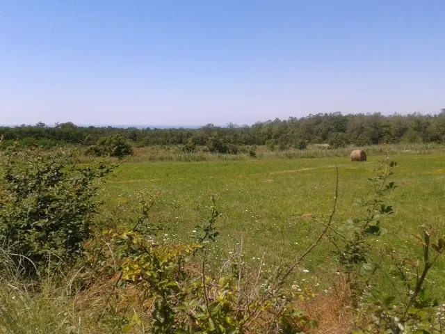 POLJOPRIVREDNO ZEMLJIŠTE ZA SADNJU MASLINA - cover