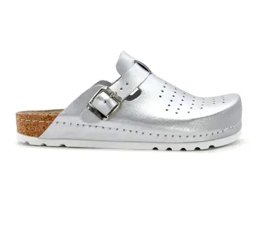 ANATOMSKE KLOMPE, Srebrna, BAGJH - cover