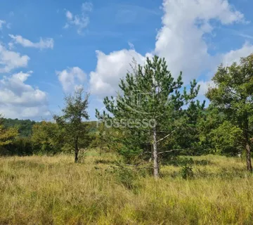 Zemljište Prodaja Buzet 953 m2 - cover