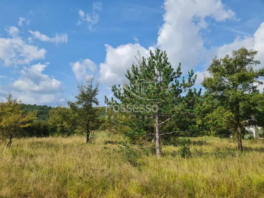 Zemljište Prodaja Buzet 953 m2 - cover