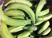 Banane platano - cover